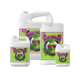 Big Bud Liquid 1L Advanced Nutrients Big Bud Liquid 1L Advanced Nutrients