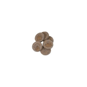 Jiffys COCO 35mm (10uds) Jiffys COCO 35mm (10uds)
