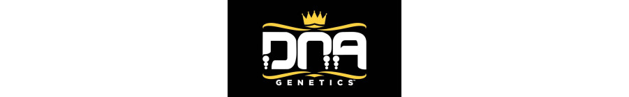 DNA Genetics