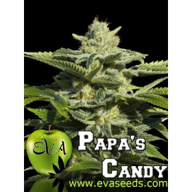 Papa's Candy 3 fem Papa's Candy 3 fem