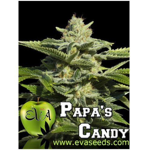 Papa's Candy 3 fem Papa's Candy 3 fem