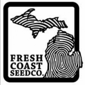 Cobalt Creme 10 Fem - Fresh Coast Seed Co. Cobalt Creme 10 Fem - Fresh Coast Seed Co.