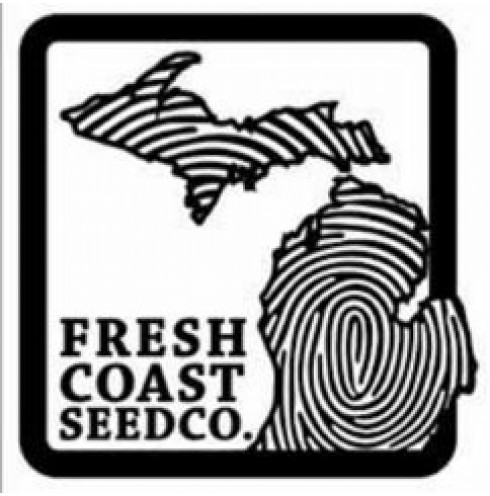 French Breakfast 10 Fem - French Coast Seed Co. French Breakfast 10 Fem - French Coast Seed Co.