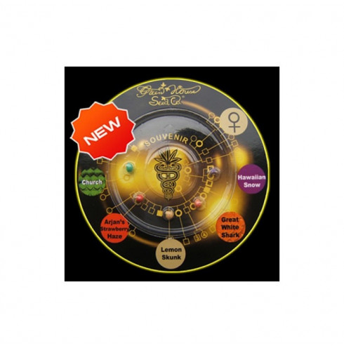 Sativa/Indica Mix B 5 fem Sativa/Indica Mix B 5 fem