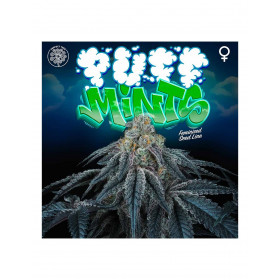 Puff Mints - Perfect Tree Puff Mints - Perfect Tree