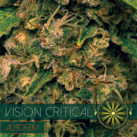 Vision Critical - AutoFem 10 Vision Critical - AutoFem 10