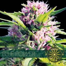 Blue Power 3 fem Blue Power 3 fem