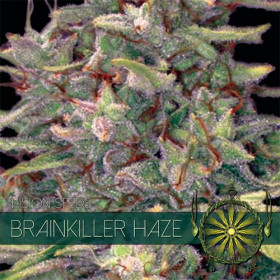 Brainkiller Haze 10 fem Brainkiller Haze 10 fem