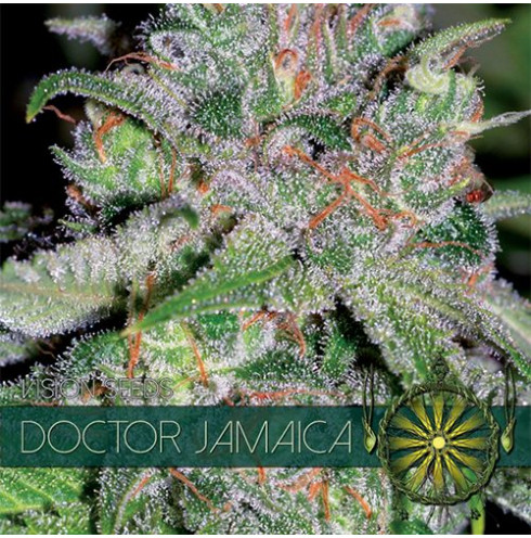 Doctor Jamaica 3 fem Doctor Jamaica 3 fem