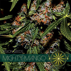 Mighty Mango Bud 10 fem Mighty Mango Bud 10 fem