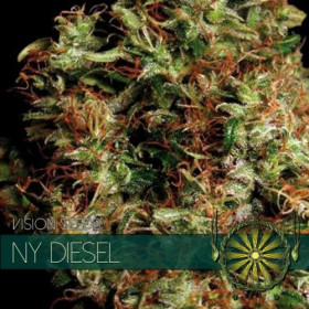 NY Diesel 10 fem NY Diesel 10 fem