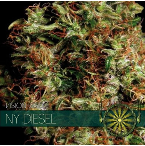 NY Diesel 5 fem NY Diesel 5 fem