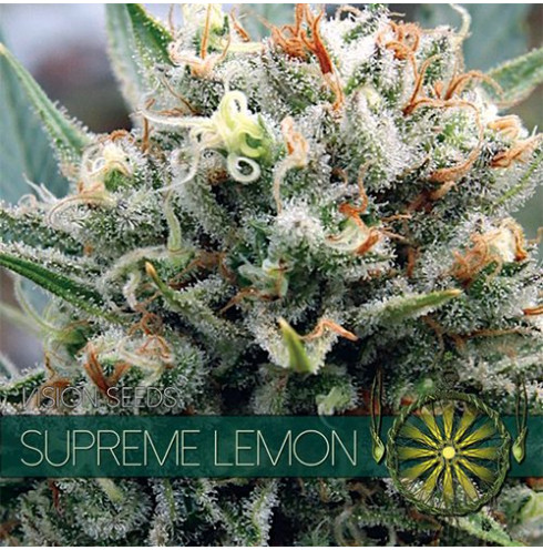Supreme Lemon 10 fem Supreme Lemon 10 fem