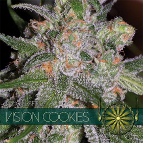 Vision Cookies 10 fem Vision Cookies 10 fem