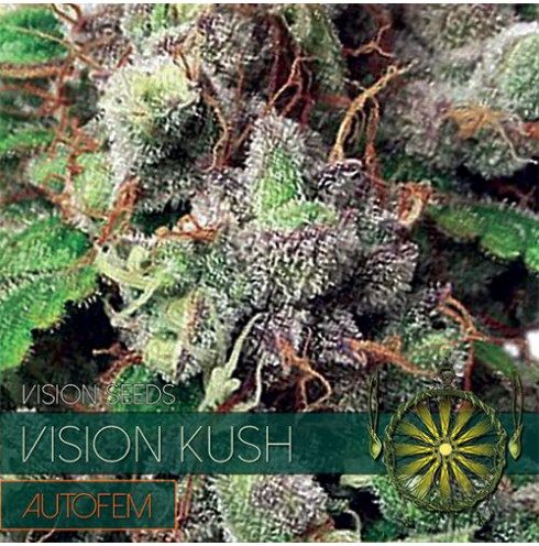 Vision Kush - Autofem 3 