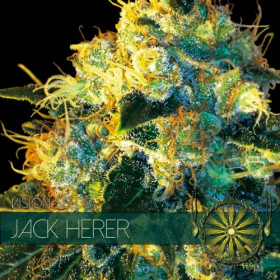 Jack Herer 3 FEM Jack Herer 3 FEM