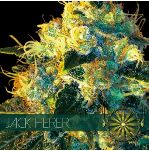 Jack Herer 3 FEM Jack Herer 3 FEM