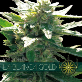 La Blanca Gold 3 FEM La Blanca Gold 3 FEM