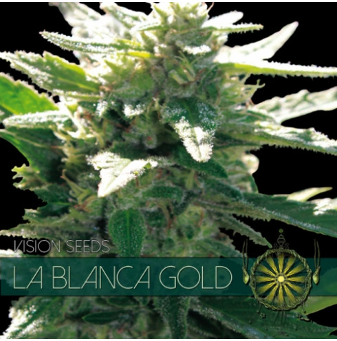 La Blanca Gold 5 FEM