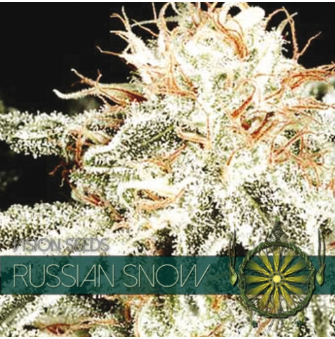 Russian Snow 5 FEM