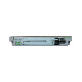 Vanguard 600w Dual Vanguard 600w Dual